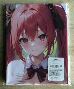 T-AHM000352. river koto .* Dakimakura cover 45*90cm 2way* towel poster tapestry mail service possible 