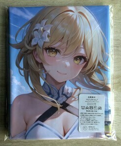 T-AHM000364.Lumine * Dakimakura cover 45*90cm 2way* towel poster tapestry mail service possible 