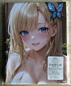 T-AHM000481. is ... little * Dakimakura cover 45*90cm 2way* towel poster tapestry mail service possible 
