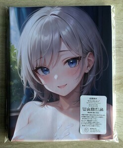 T-AHM000385 Anastasia * Dakimakura cover 45*90cm 2way* towel poster tapestry mail service possible 