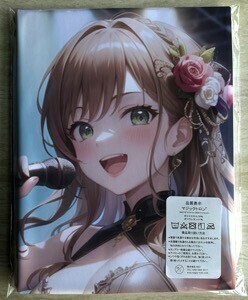 T-AHM000473 now . Lisa * Dakimakura cover 45*90cm 2way* towel poster tapestry mail service possible 
