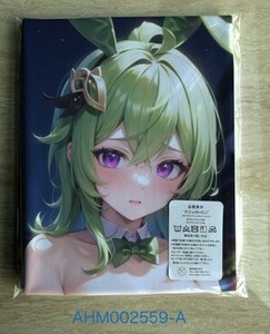 AHM002559 Collei * Dakimakura cover 45*90cm 2way* towel poster tapestry mail service possible 
