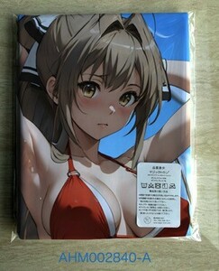 AHM002840. castle brilliant park * Dakimakura cover 45*90cm 2way* towel poster tapestry mail service 