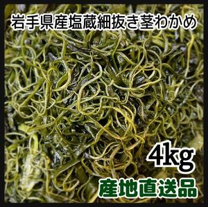 【漁師直送】岩手県産　塩蔵細抜き茎わかめ　4kg サラダ　和物　炒め物　スープにも