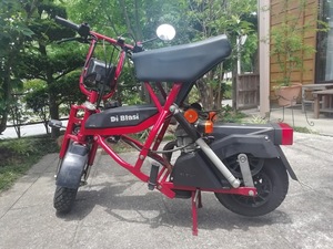  taking .. come person . limit .DiBlasi(ti brush ) Italy made folding motor-bike bike immovable car 