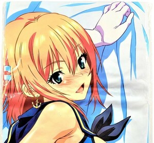 makino office work place C87 SISTERS god . thousand summer &. Dakimakura cover / A&J made smooth to long . beautiful pear . god slope . flat [ unopened / anonymity delivery ]