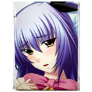 CandySoft....2. period .. beauty . Dakimakura cover normal version /........ genuine wide male sea [ anonymity delivery ]