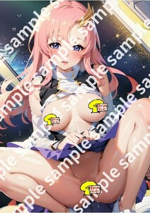 M1016 ラクス クライン Gundam SEED ガンダム ガンダムシード 美少女 高画質 高品質 A4 ポスター セクシー 同人 巨乳 美尻 下着