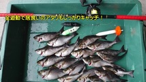 遠投カゴ釣りにおススメ!遠投用シンプル天秤2WAYタイプ_画像2