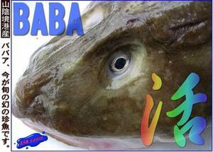  супер-скидка, иллюзия. глубокий море рыба [ очень большой babaa2.0kg передний и задний (до и после) ].. и больше!! ASK гора .