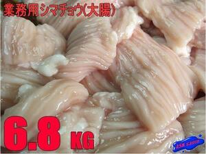 USAプロ用「シマチョウ(大腸)6.8kg」鮮度抜群/もつ鍋、BBQ