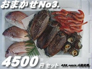 Свежесть – это жизнь! Omakase Set 4500" Порт Санин Сакаи ASK Переводческий бизнес Фукубукуро