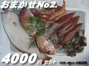 鮮度が命!!「おまかせ セット4000」山陰境港産 ASK福袋訳業務用