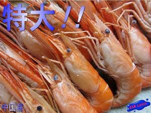  rare article delicacy [ hand length sea .( river shrimp )500g] ASK lucky bag translation business use 