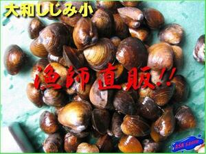 超有名「ヤマトしじみ小1kg」宍道湖の七珍味 ASK福袋訳業務用