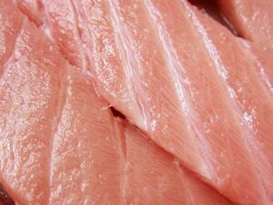 5 box,Australia production [ south .....500g] fat. ...!!... fatty tuna. cut . dropping, edge material becomes.