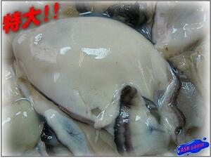 美味!!最大級「牡蠣２L-1kg 30粒入り」安全安心な広島産