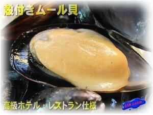  high class restaurant specification [. attaching mussel 500g] Boyle ending 