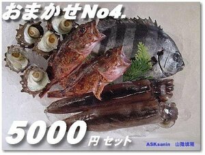 鮮度が命!!「おまかせ セット5000」山陰境港産 ASK福袋訳業務用