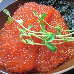 5本、極上品 「イクラ醤油味500g」もちろん、国内製造 USA産紅鮭を使用 の画像5
