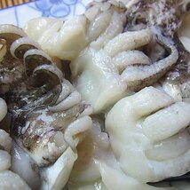 大容量「甲烏賊ゲソ1kg」居酒屋でおなじみの業務用冷凍食品_画像6