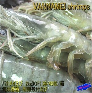  rare sea water breeding [banamei..2kg 30-40 tail entering ]..*IQF business use 