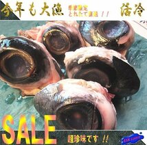 特大＆肉付き「黒まぐろ目玉5個以内で 1kg」美肌にも頭にも良GOOD!!_画像6