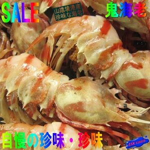  delicacy . sea .[. sea .-1kg]. sashimi for [ fish kingdom ] mountain ... production 