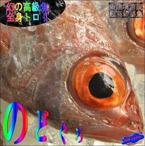 幻の超高級魚「巨大 のどぐろ 5尾位内で1kg」お刺身用・脂のってます！！　山陰境港産