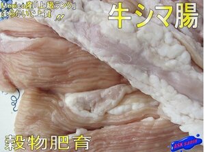 焼肉・BBQ「穀物肥育 シマ腸 1kg位」プロ用　メキシコ産　もちろんモツ鍋最高！！