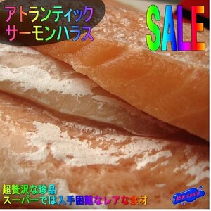 高級珍味「アトランティック・サーモン腹身500g」脂の乗りは大トロ以上