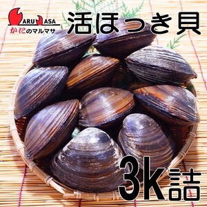 [ crab. maru masa] Hokkaido production . ho ki.3 kilo .(9~12 piece insertion )