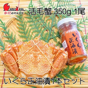 [ краб. maru masa] Hokkaido производство . четырёхугольный волосатый краб 350g 1 хвост Hokkaido ....... правильный масло .90g 1 шт. морепродукты комплект 