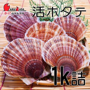 【かにのマルマサ】北海道産 活ホタテ貝 1キロ詰