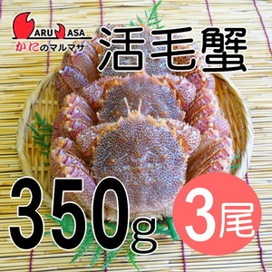 【かにのマルマサ】活蟹専門店 北海道産 活毛ガニ350g 3尾セット