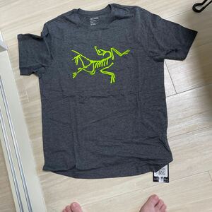 アークテリクス　ロゴ　Tシャツ サイズM Archaopteryx Tシャツ