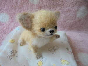 * hand made wool felt * chihuahua cream baby! (. hand is possible .!)