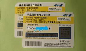 ◆送料無料★ANA（全日空）株主優待券２枚セット★有効期限2024年11月30日