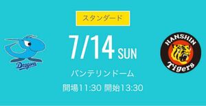 ７月１４日(日) 中日ドラゴンズ 対阪神タイガース　レフト側ドラゴンズ 外野応援席　ペア