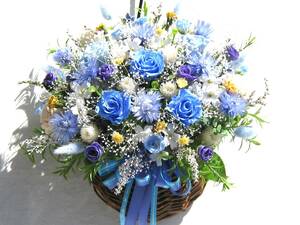  bell. dry flower brilliant . wall decoration preserved blue rose 