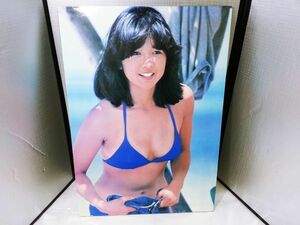 00630 【中古品】宮崎美子 グラビアボード 木製 57×40cm アンティーク レトロ アイドル コレクション アイドルグッズ ポスター 当時物