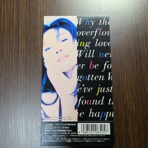サンディ・ラム「だからって…」CD 販促品フライヤー付きの画像3