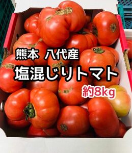 大特価！ 熊本県産 規格外 塩混じりトマト 8kg程度