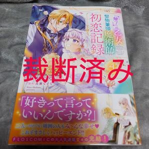 『魅了』の乙女と堅物筆頭魔術師の初恋記録　４