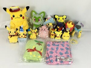 ポケットモンスター ポケモンセンター ぬいぐるみ パーカー ブランケット ニンフィア ピカチュウ エンテイ 他 まとめ セット 中古 wa◇70