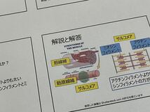 【2024年版】NSCA-CPT試験対策問題集（700問）オールカラー_画像3