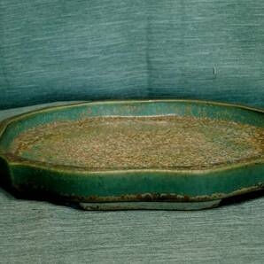 KAKE4194 Y 和水盤 人気作家 鴻陽 緑釉切立古鏡型 W２４の画像3