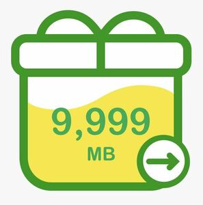 mineo パケットギフト 10GB(9999MB)