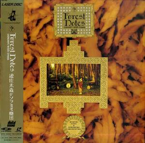 B00174621/LD/遊佐未森＆ソラミミ楽団「Forest Notes Concert with Trees」