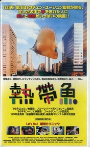H00021028/VHSビデオ/リン・ジャーホン「熱帯魚」